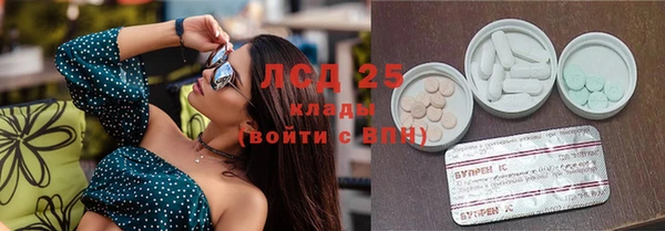 СК Михайловск